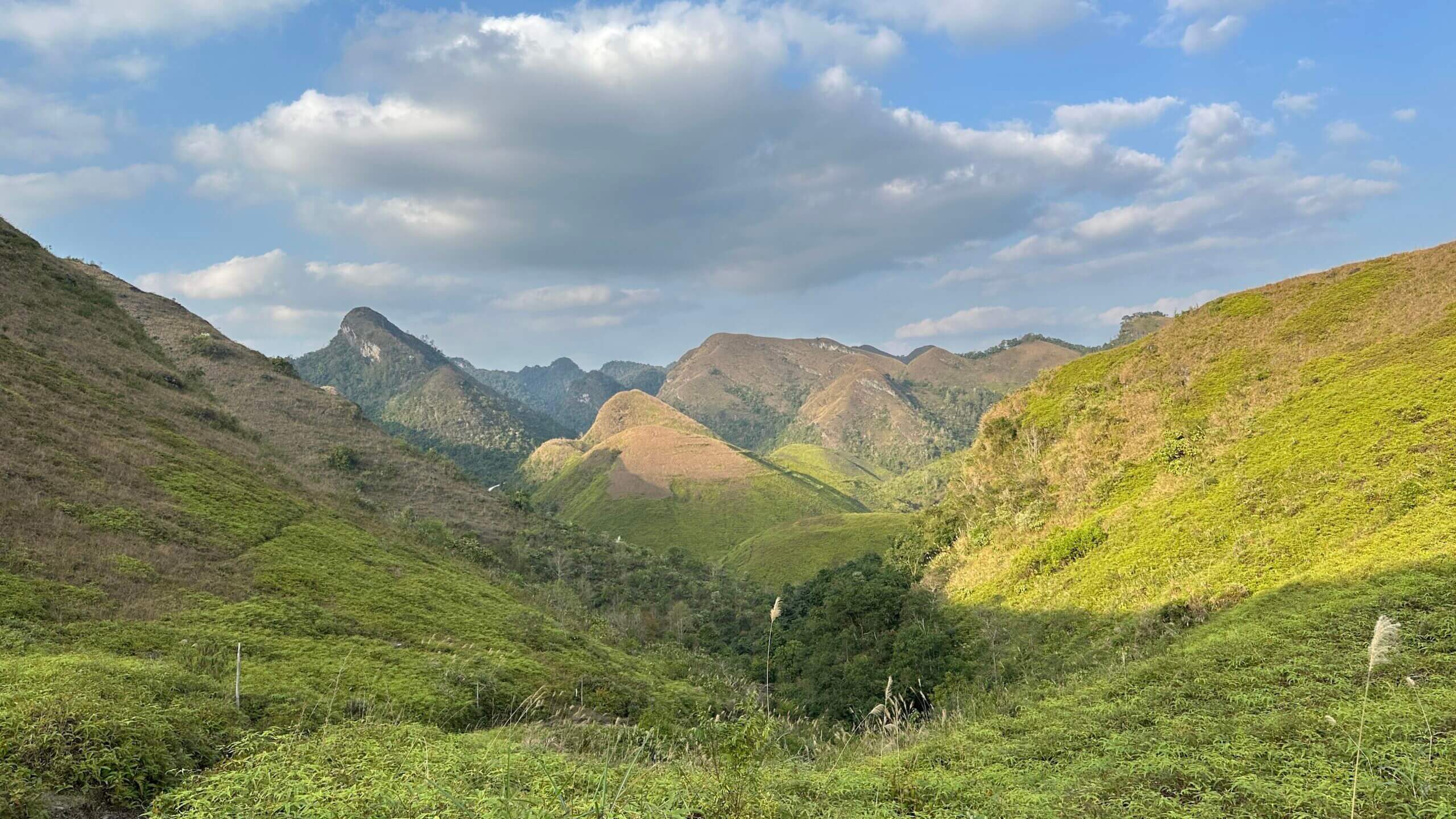 Đồi cỏ cháy ba quáng