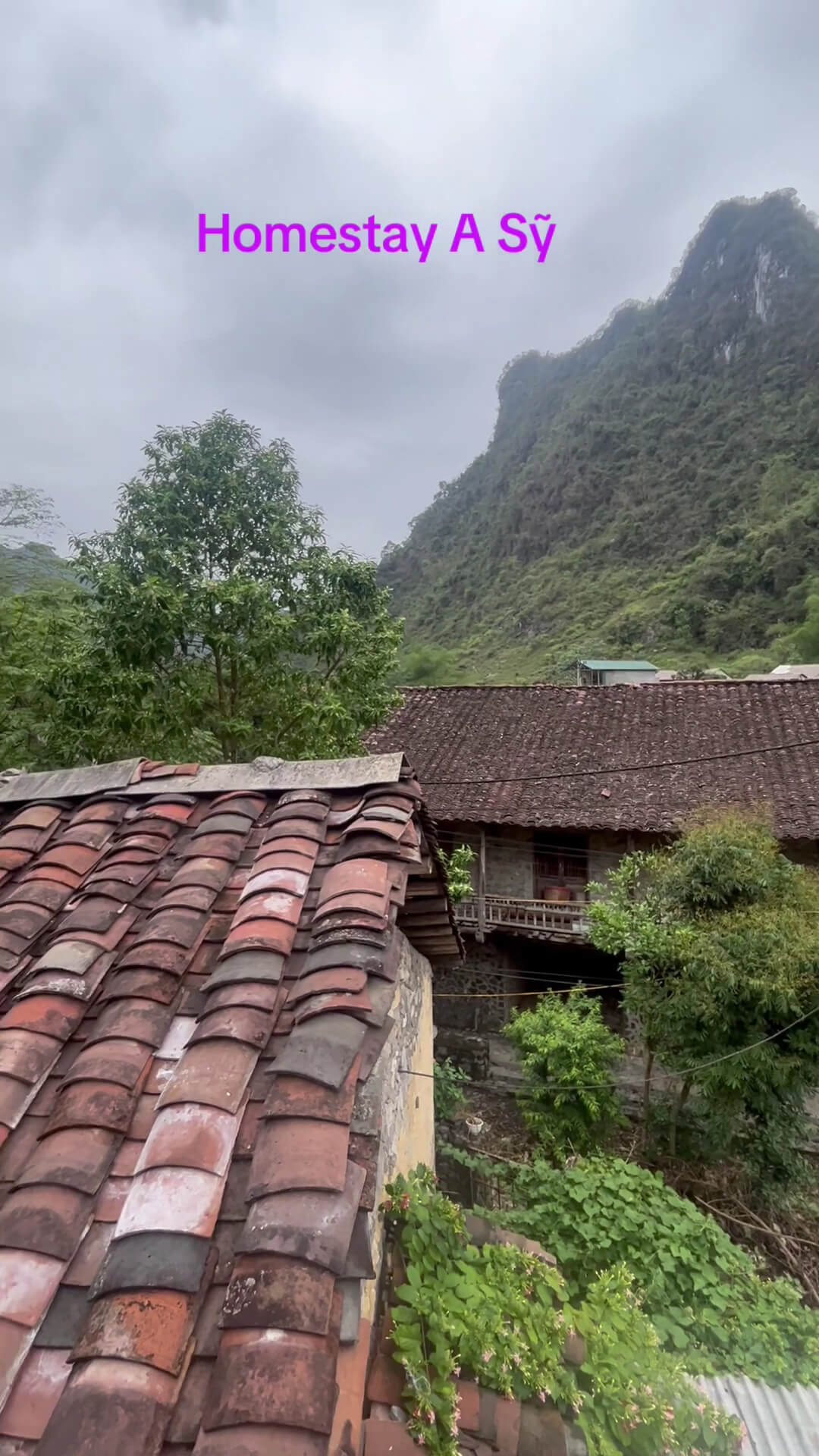Homestay A Sỹ- Food & coffee