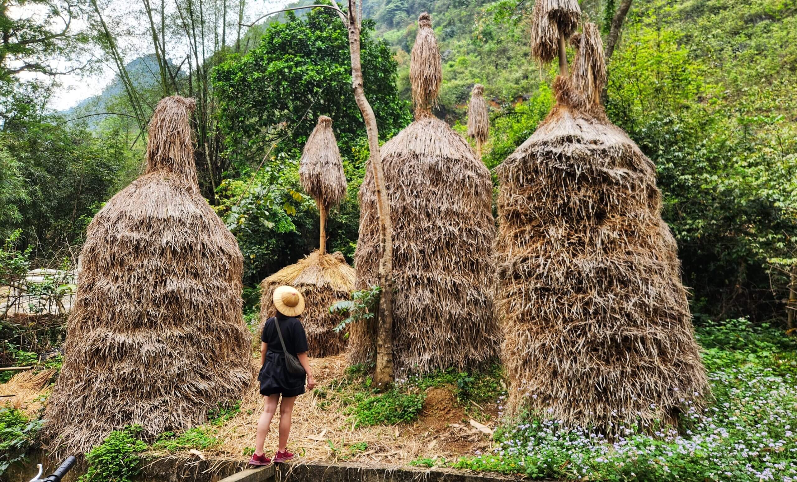 Homestay My Thuc