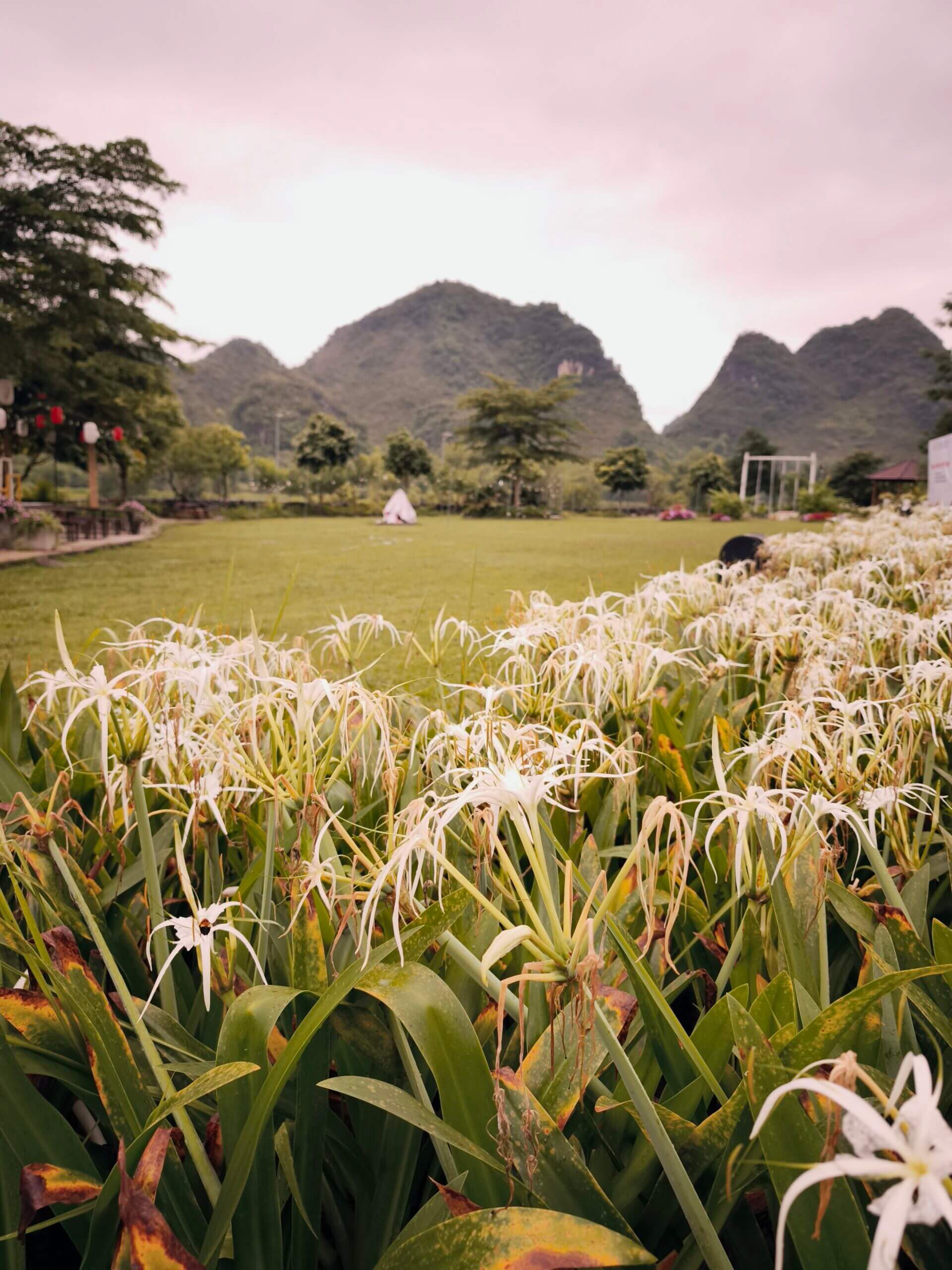 Nasan Green Farm