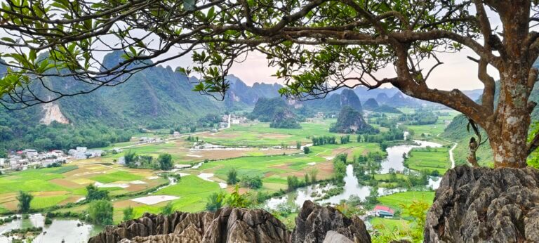 Panorama Walking track - Xã Đình Phong