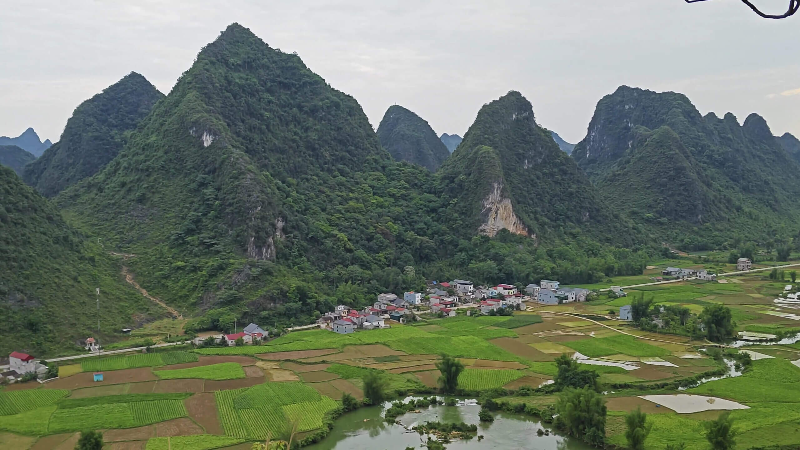 Panorama Walking track