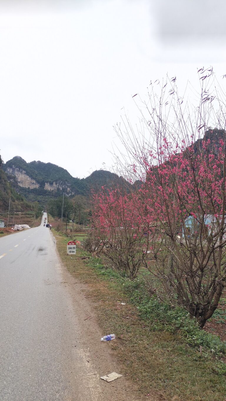 Checkin Án Lại
