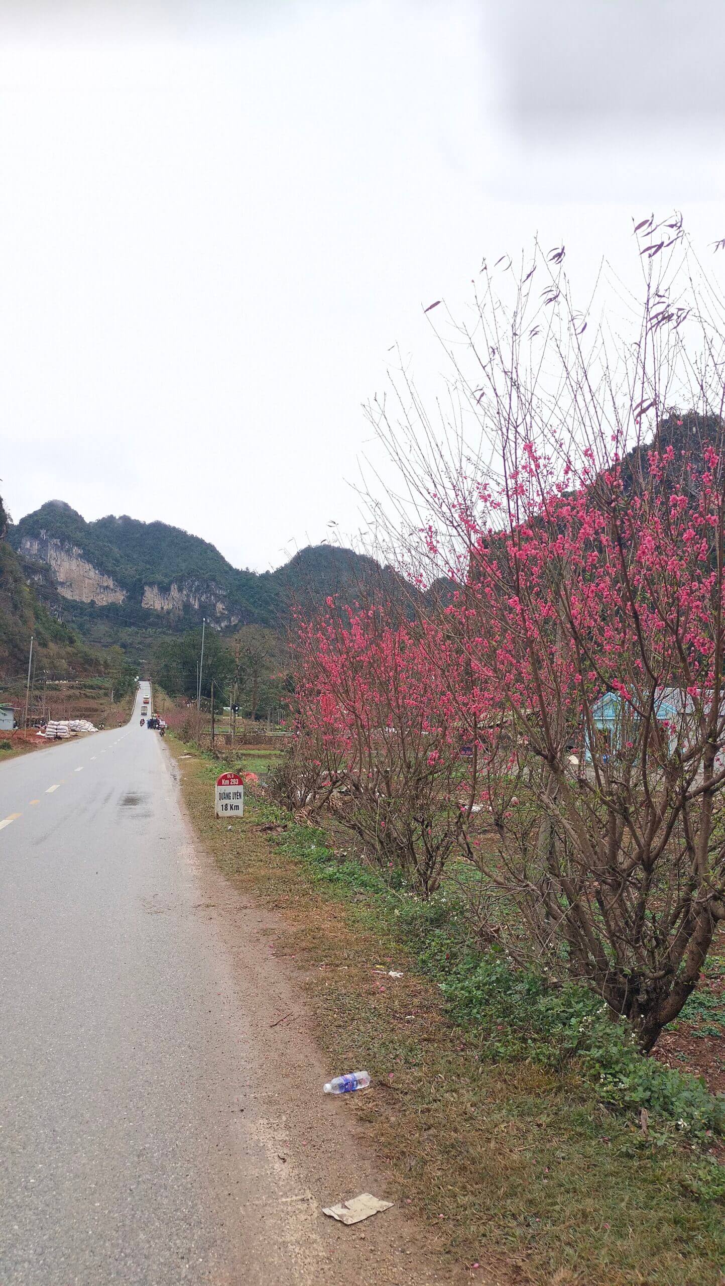 Checkin Án Lại