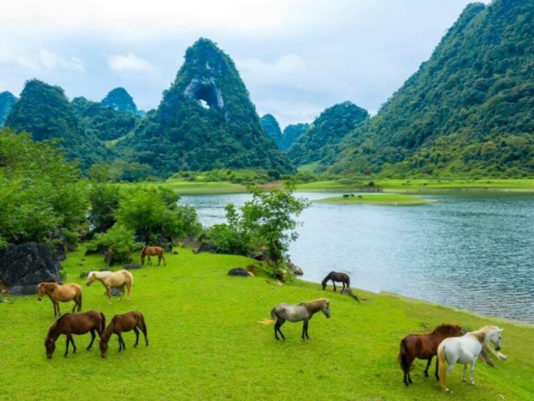 Núi Mắt Thần - Xã Trà Lĩnh