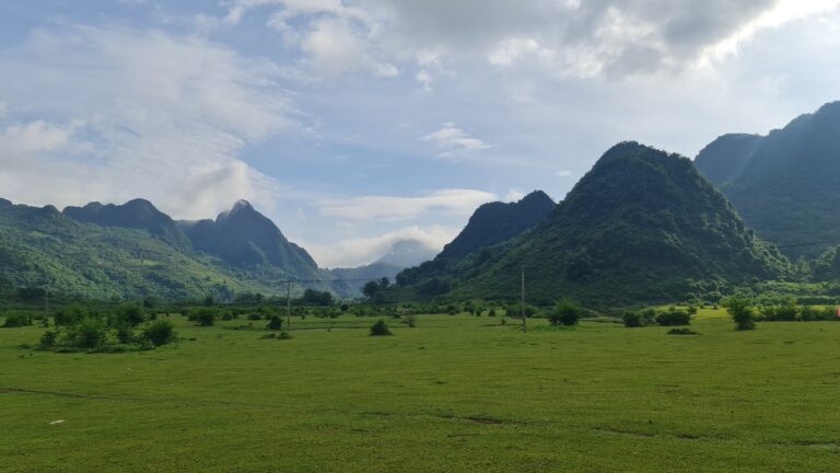 Bãi Tình