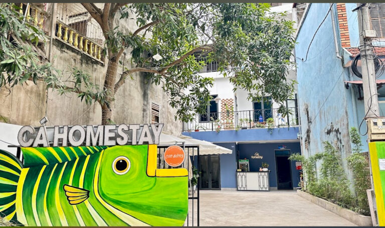 CÁ HOMESTAY - Phường Thục Phán