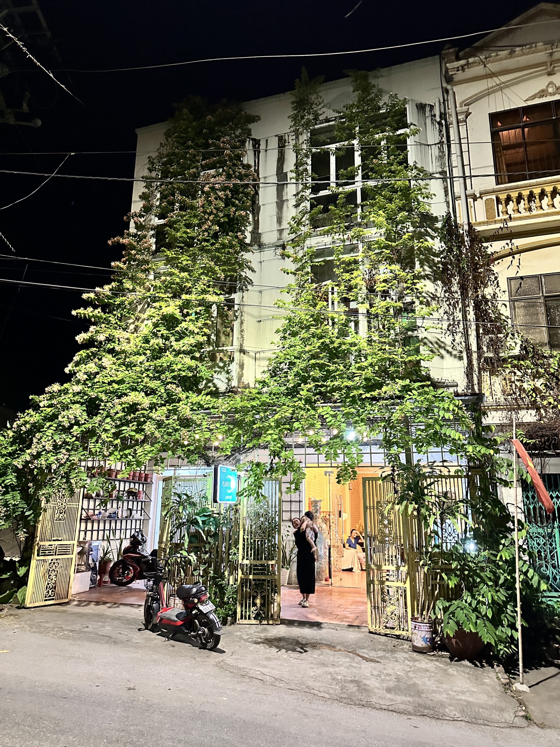 Cao Bang Plant Lady Homestay