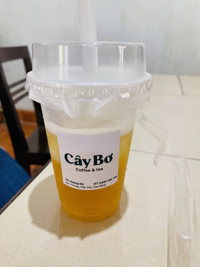 Cây Bơ Quán - Xã Thông Nông