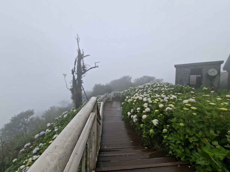 Phia Oac Peak (1,931 m)