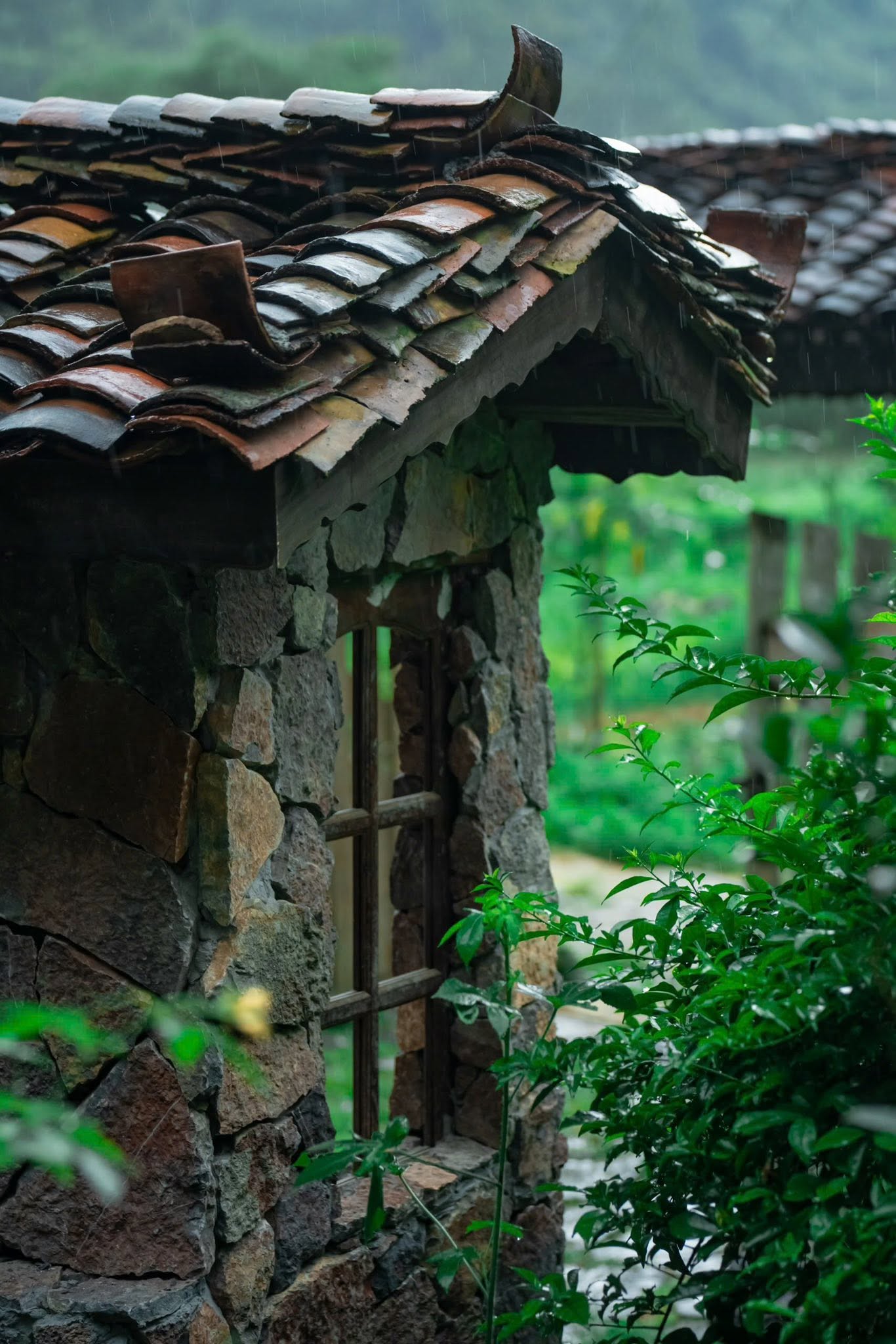 MẾ FARMSTAY