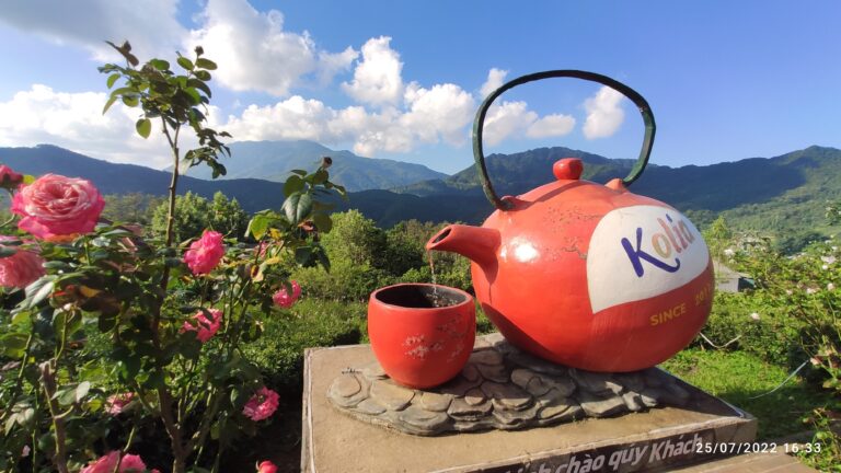 Kolia Organic Farm - Xã Thành Công