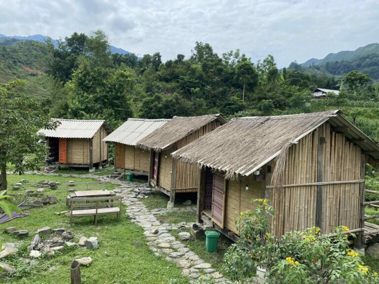 Kolia Organic Farm