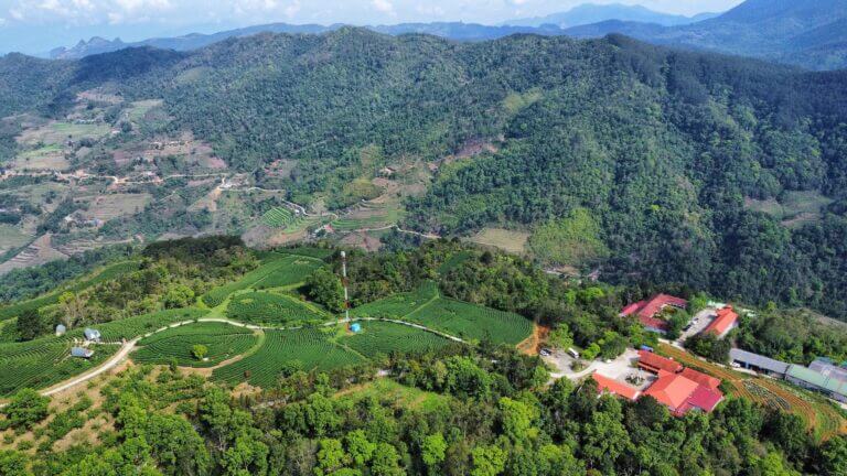Kolia Organic Farm