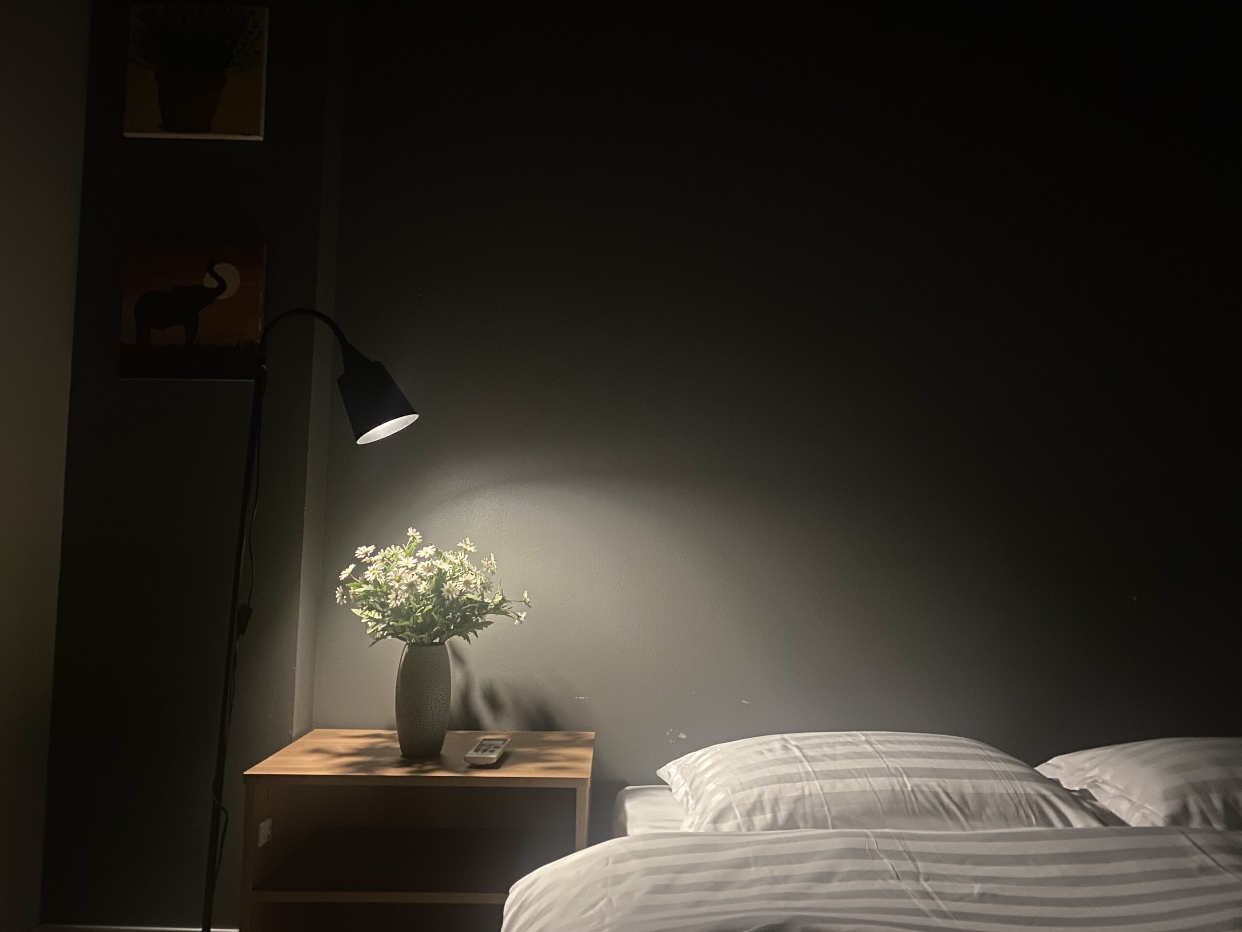 Mây homestay