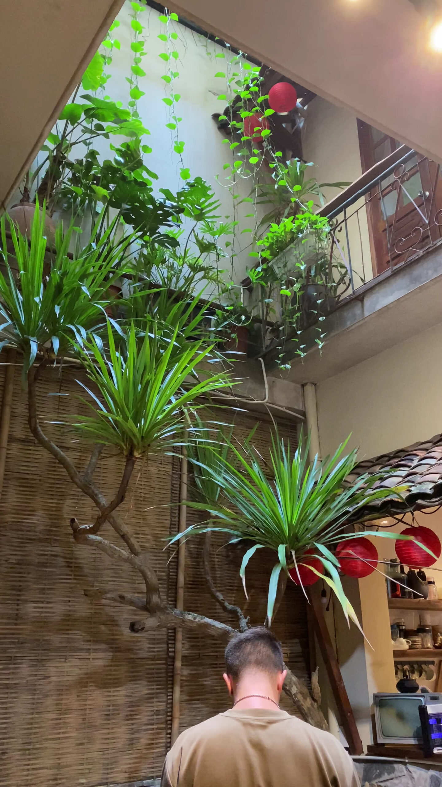 PIA Homestay – Tours & Motorbike rentals