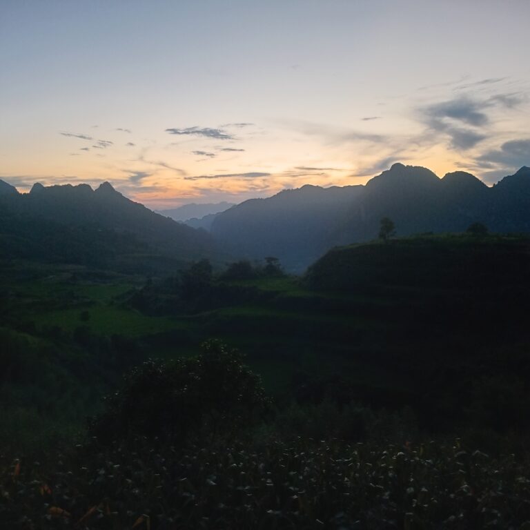 Rừng trúc Lũng Pán