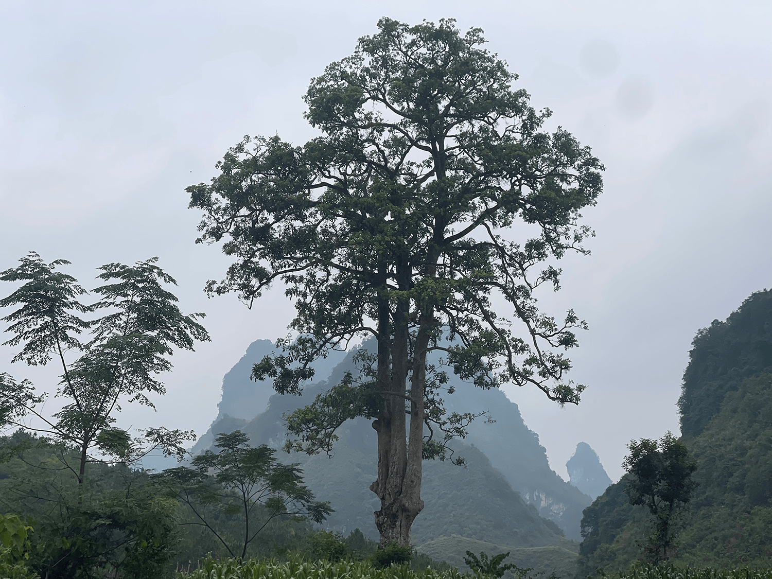 Ảnh bìa Xã Đoài Dương