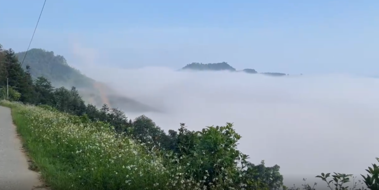 Phieng Pen Cloud Hunting Spot – Ly Bon