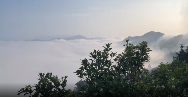 Phieng Pen Cloud Hunting Spot – Ly Bon